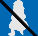 �A���e�B�[�N�h�[���@����s��